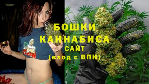 гидропоника Алзамай