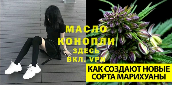 гидропоника Алзамай